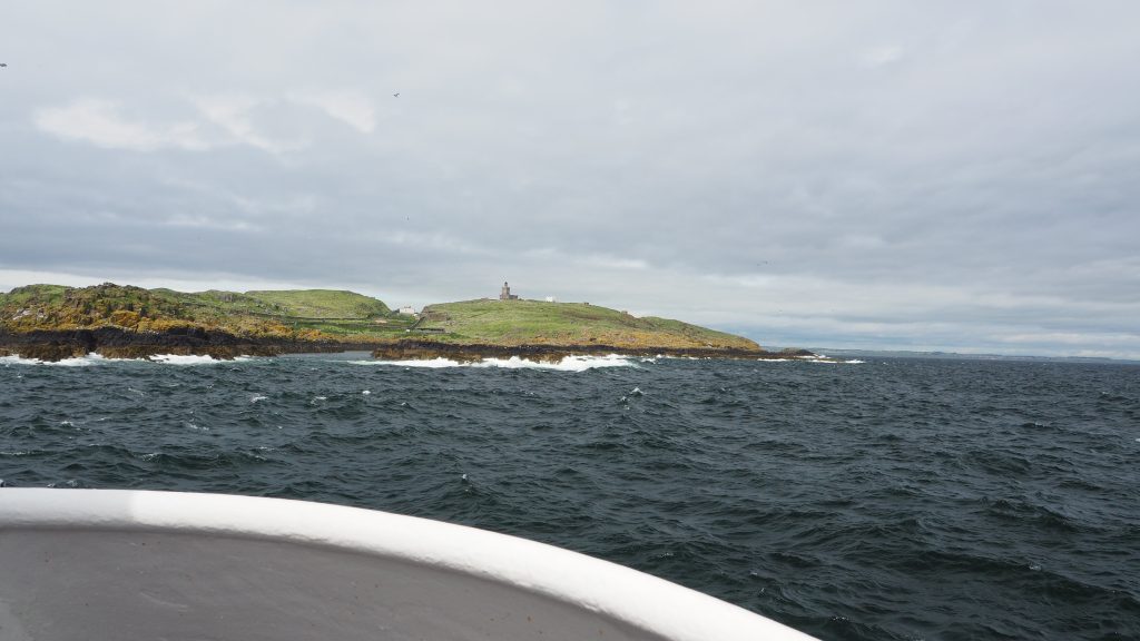 Île de May en Écosse : conseils pour l'observation des oiseaux 3 île de May en Écosse