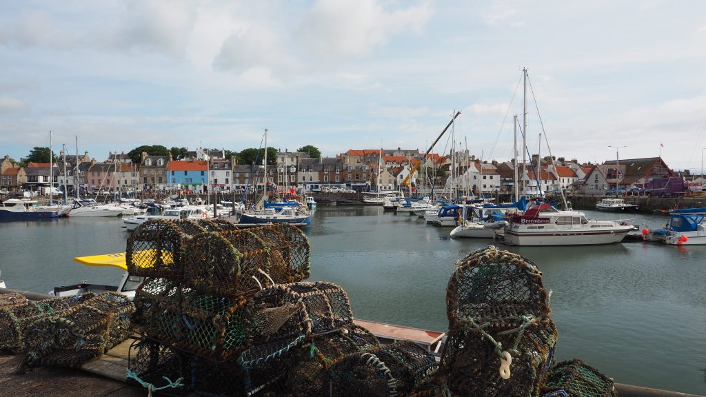 Île de May en Écosse : conseils pour l'observation des oiseaux 2 observer les oiseaux de l'île de May