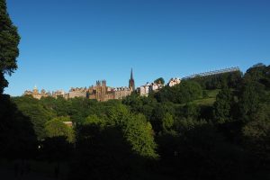 vue d'une ville en hauteur avec végétation au premier plan