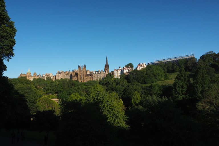 vue d'une ville en hauteur avec végétation au premier plan