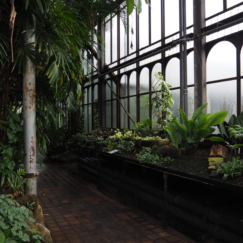 3 circuits parfaits pour visiter Glasgow le temps d'un long weekend 18 Intérieure d'une grande serre en métal et verre avec des arbres et des plantes vertes et un sol pavé