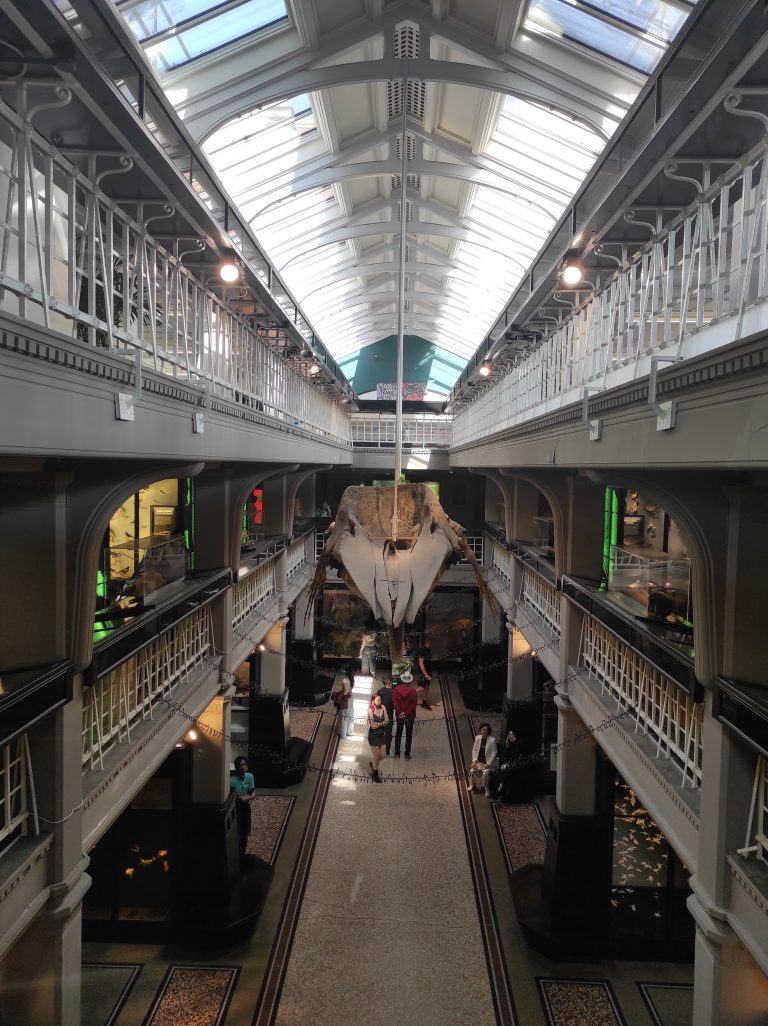 musées à manchester
