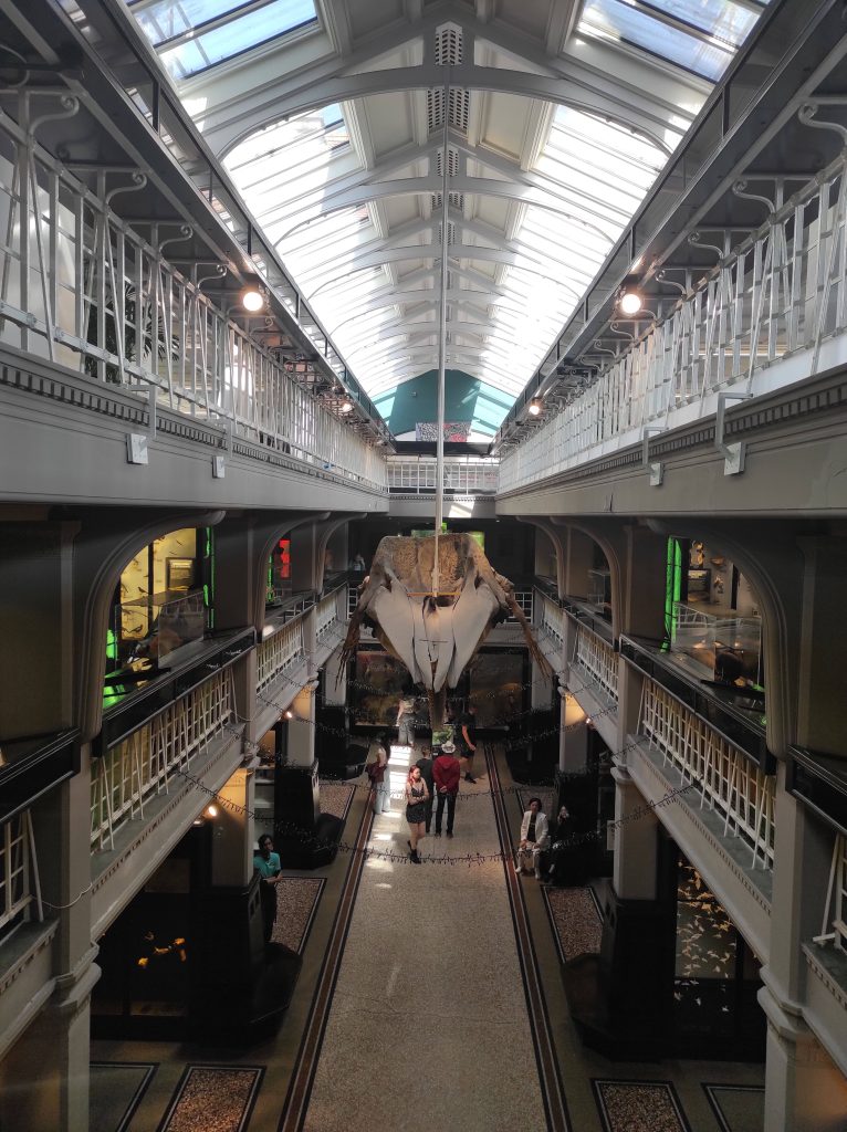 4 musées à Manchester à découvrir absolument sans débourser un centime 14 Musées à Manchester
